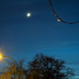 Meet your Posher, Elly